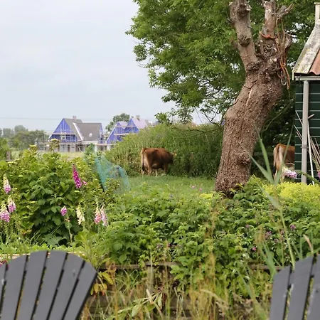住宿加早餐酒店 Bed And 阿姆斯特丹