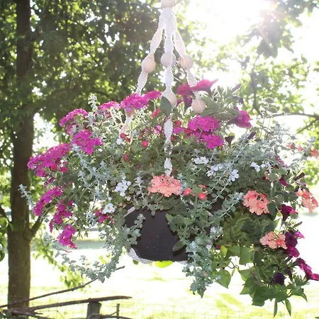 Bed And 住宿加早餐酒店