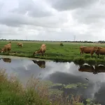 B&B Bed And 4*