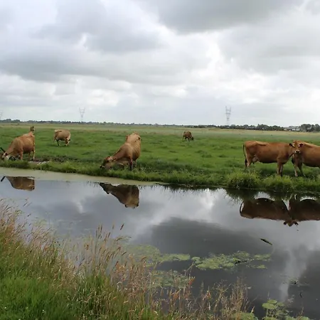 Bed and Breakfast Bed And 3*