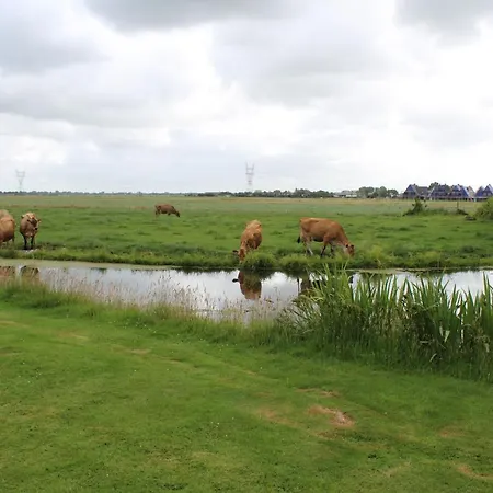 Nocleg ze śniadaniem Bed And 3*