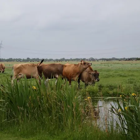 Bed And 3* Amsterdam