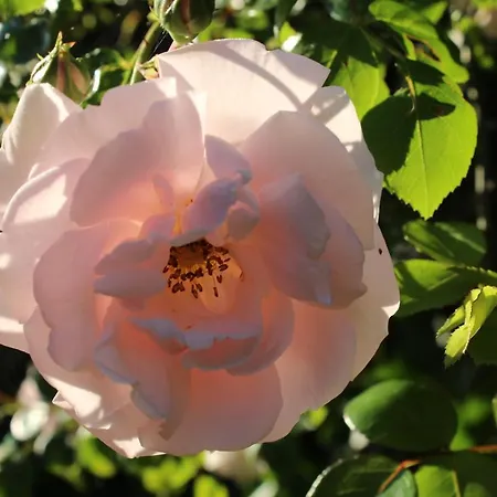 Bed And Bed and Breakfast