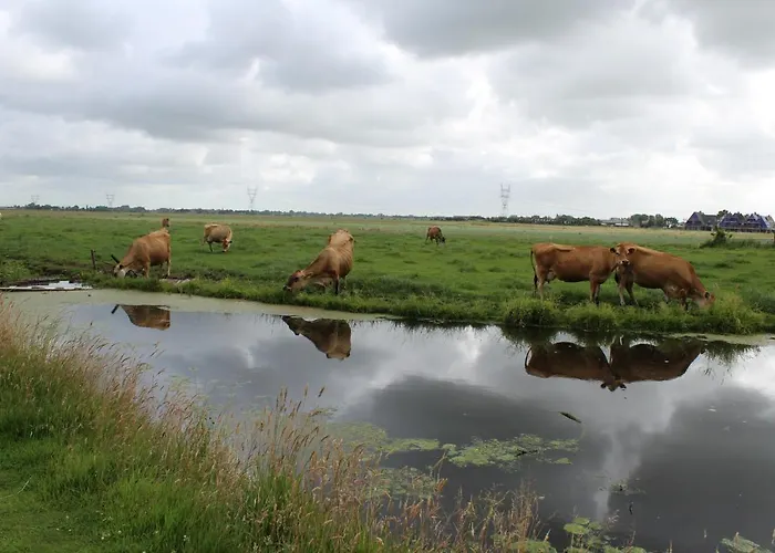 Bed & Breakfast Bed&stay 3*