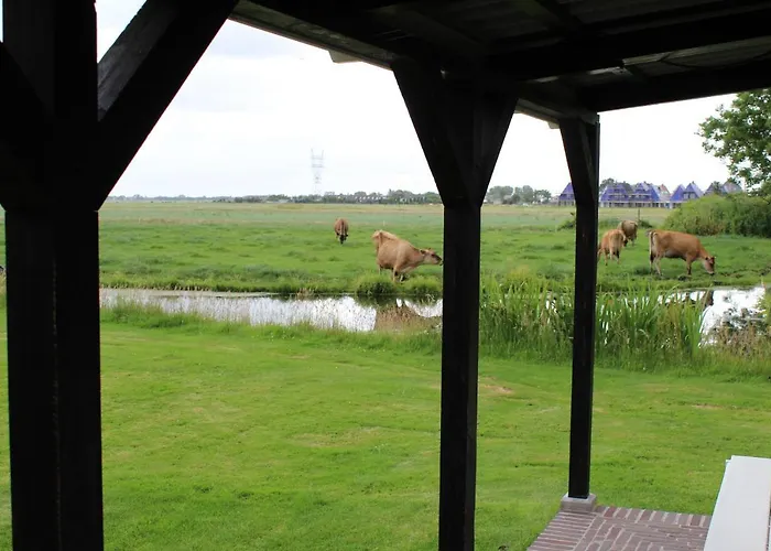 Bed & Breakfast Bed&stay