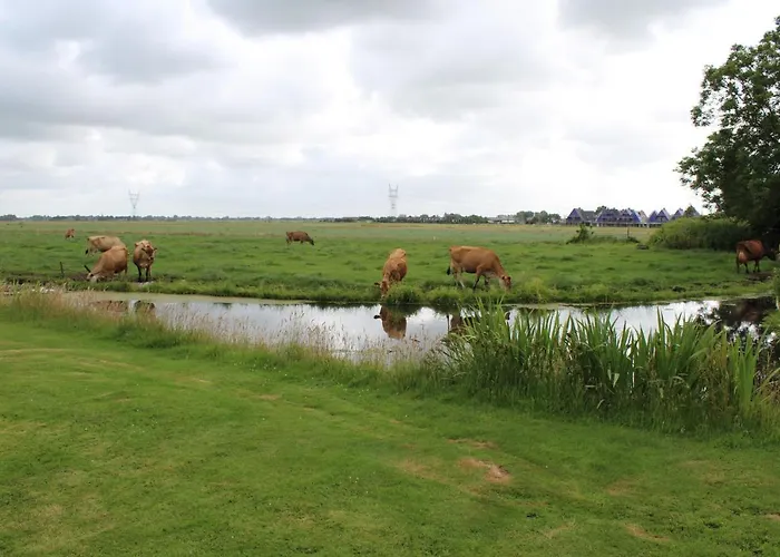 Bed & Breakfast Bed&stay 3*