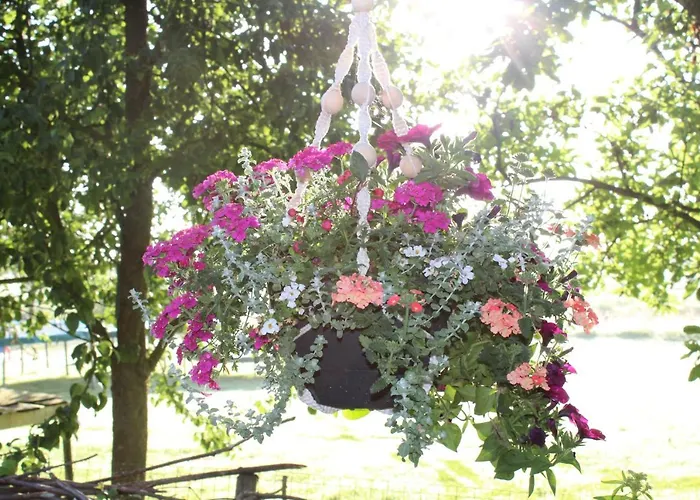 Bed&stay Bed & Breakfast