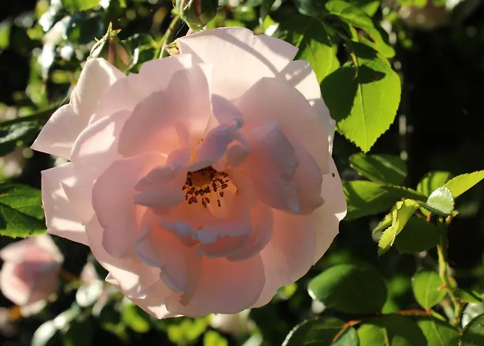 Bed&stay Bed & Breakfast