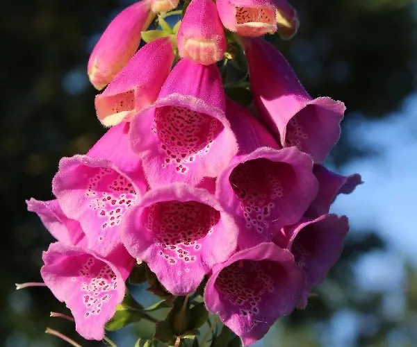 Bed & Breakfast Bed&stay